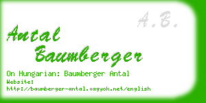 antal baumberger business card